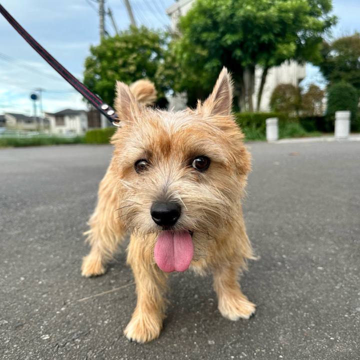 0b257430 d459 4450 ae1f 63d60c1e0f7c 1727020837427