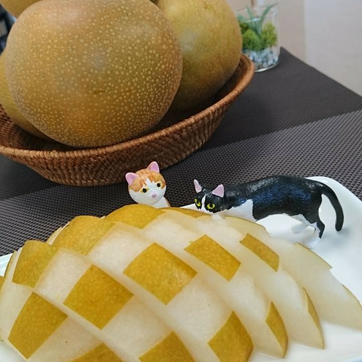 0b25add6 a7c9 4220 b203 2f7cc51f4056 1535426382020