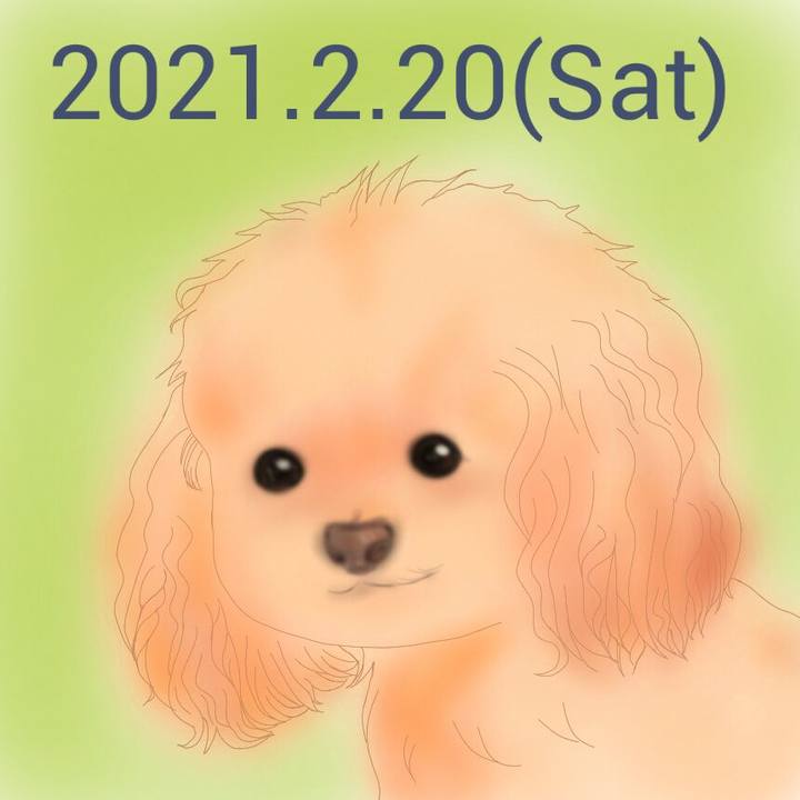 0b25c306 5ebc 477b b623 89fb68909dbe 1613820625402