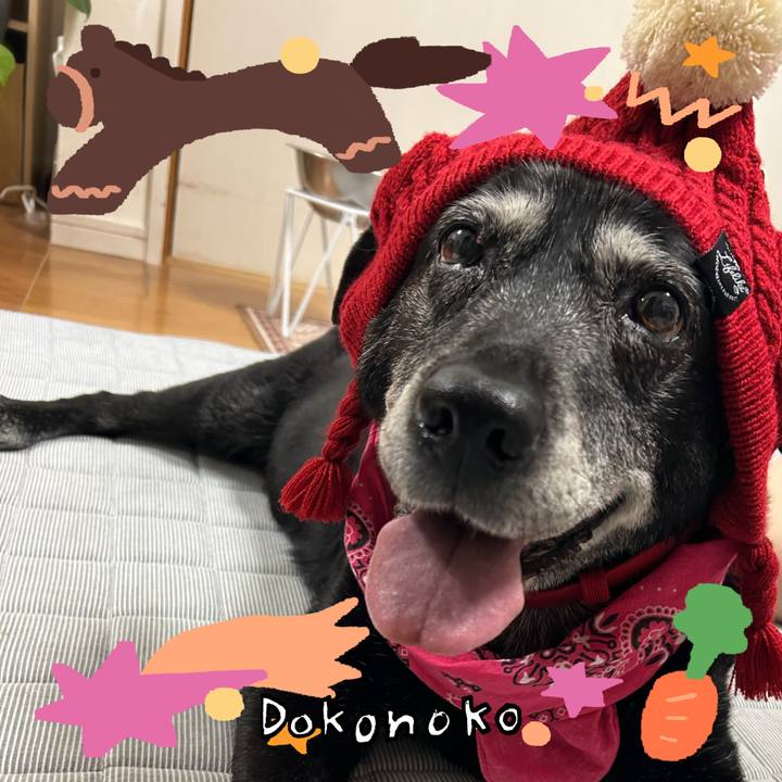 0b25dd5f 0452 47cd 9c27 d261525ab586 1772453421782