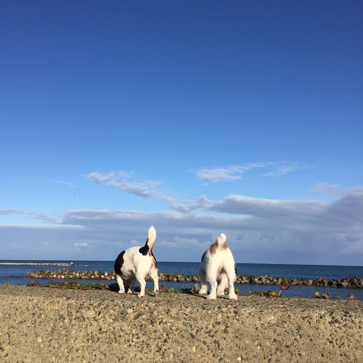 0b25e181 75c9 4029 8ec2 8270333283af 1663647810725