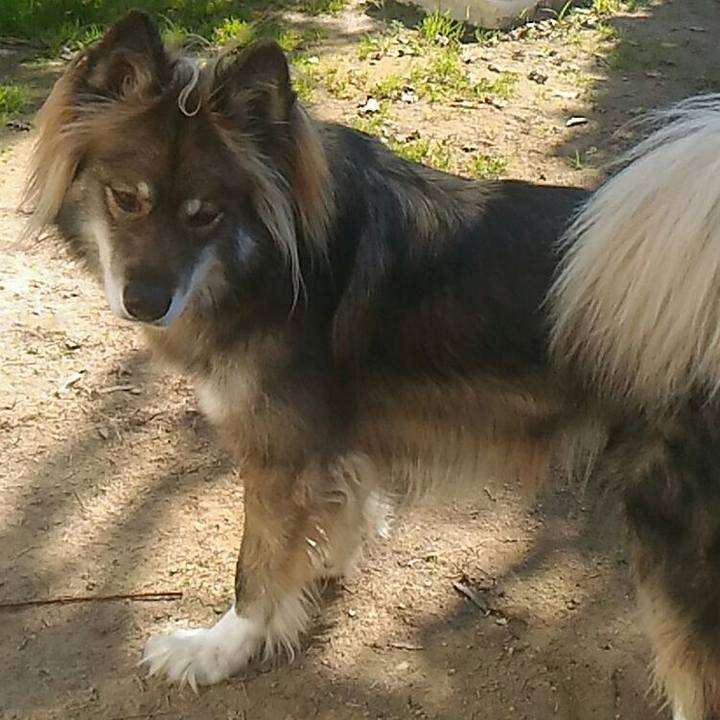 0b263177 ec4f 479e 84a8 97b18c918b3d 1511519912612