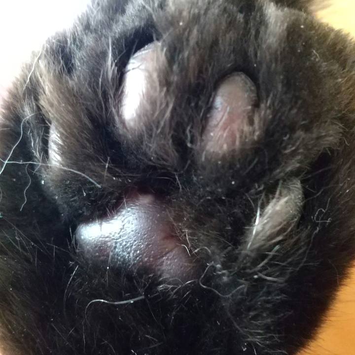 0b26456a 07f4 4aa0 8e84 0aa6d31e62c2 1656636407203