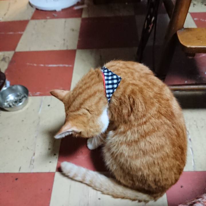 0b264c76 8404 41b1 bc1d 825f39571de8 1568626120114