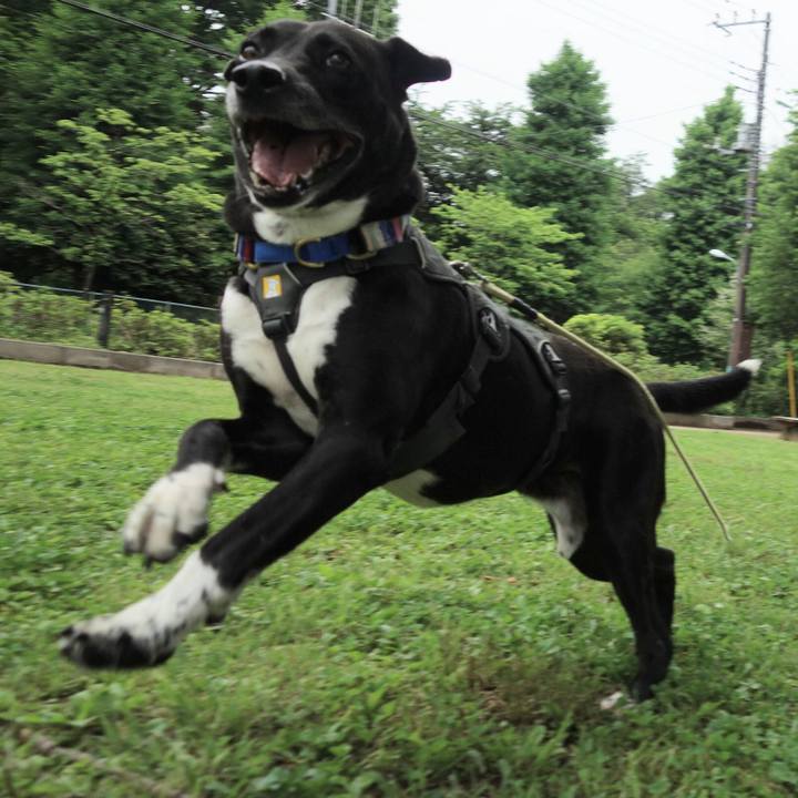 0b2673cc bb86 4046 908a d1ac11ec5d2d 1652749506521