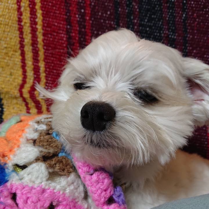 0b26e807 be32 44c6 a9e7 1dcab550b9e2 1541504565159