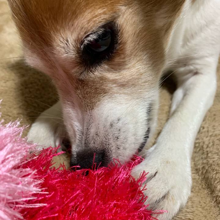 0b26f26a 1b23 455f 9473 4eb85d110f5d 1561471143871