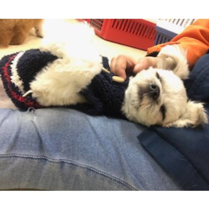 0b2714ca 939e 45fc b8e0 258a9a224493 1516709263183