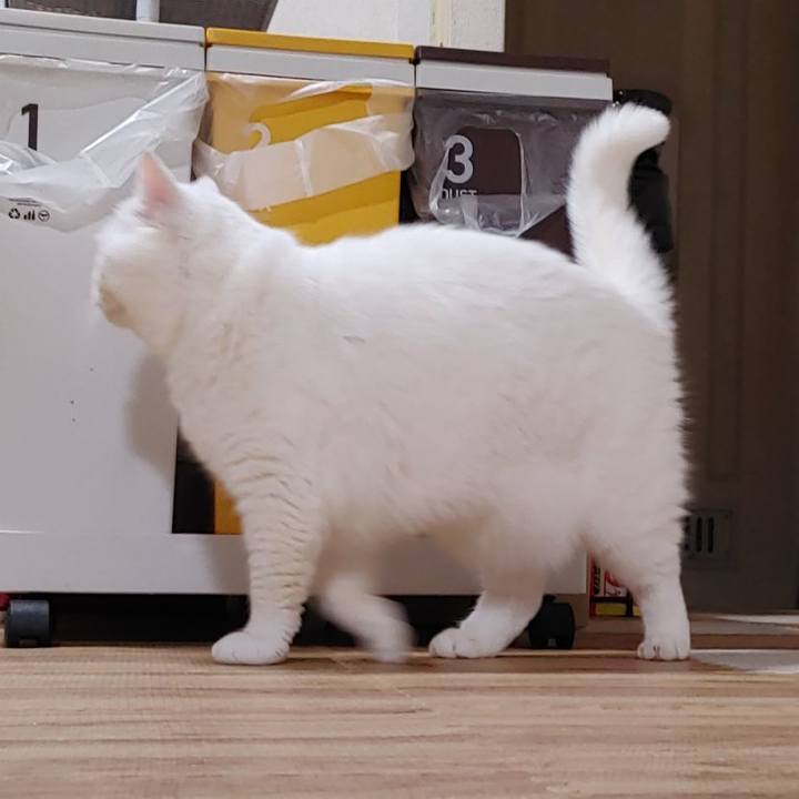 0b27cfc6 8693 469d af19 17f499503278 1683550333493