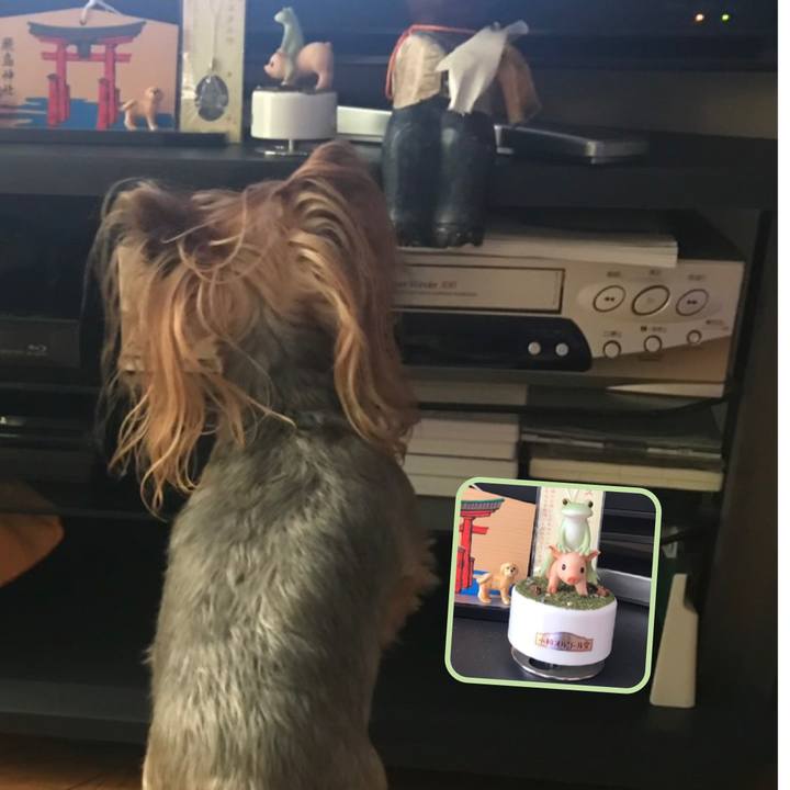 0b27f37c 4704 413f 9425 8ef9489c121c 1566378919521