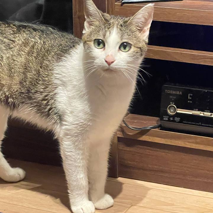 0b27fd41 0776 4e9d a325 4a5b5858e6ab 1625830586265