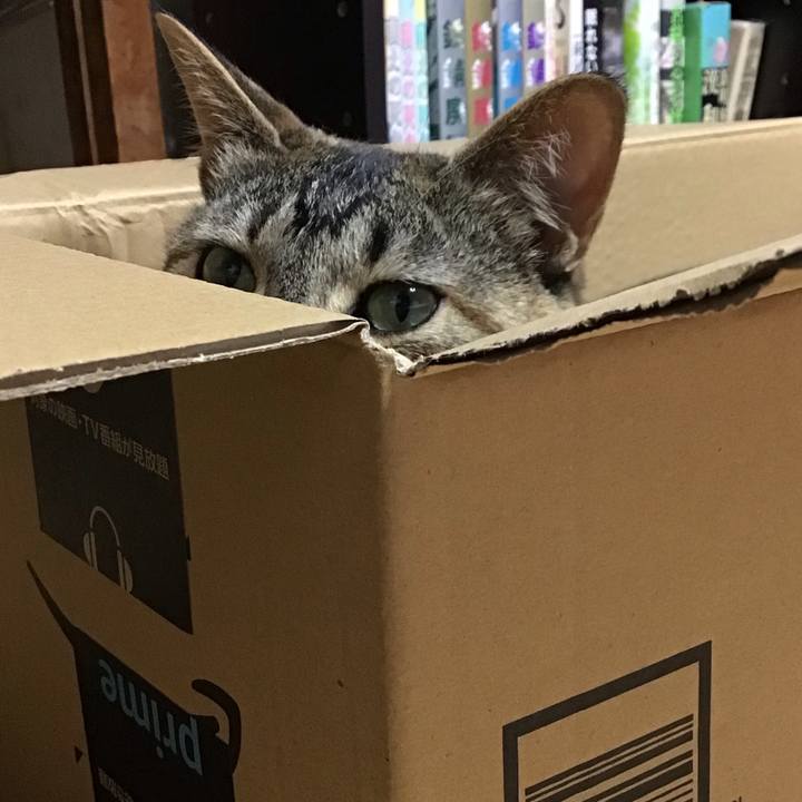 0b280ace 682b 4c0d b91b 5a7fdbcd49d7 1625560114955