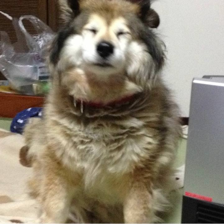 0b282d31 8727 42df a454 9651f0cf7b52 1585032066301