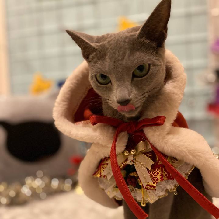 0b2832d1 39d6 4fe3 8d27 df863abe1f13 1671867875804