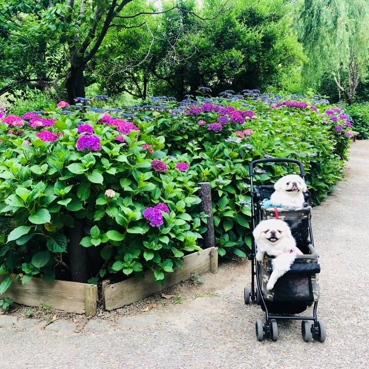 0b28521c f724 42a8 a13f cca3558c38b6 1559876375855