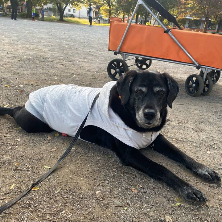 0b2874c8 8ae3 45f6 8adf 89cd23dbc01e 1698388913359