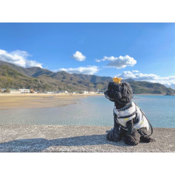 0b28763d d576 4771 89ae 9a9c7b5a49e3 1582793831474