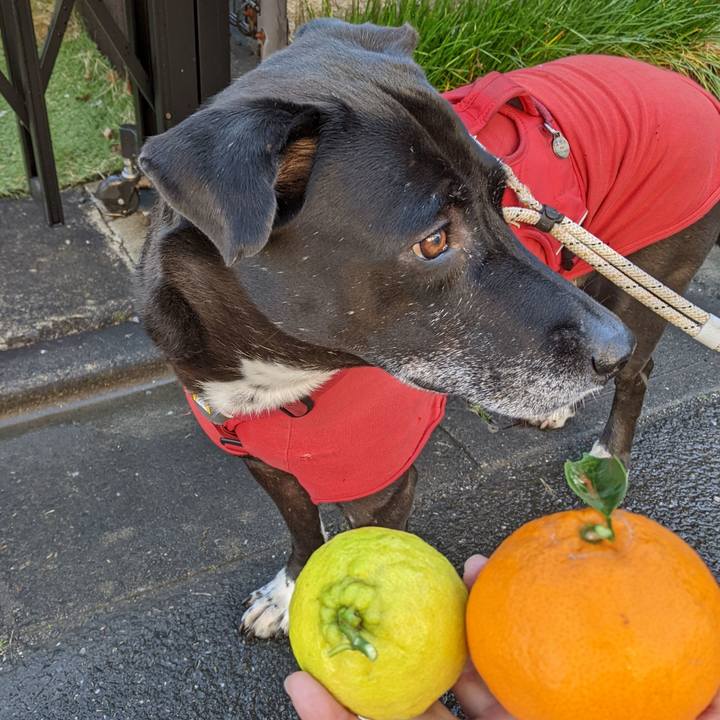 0b288488 6a59 466d 8d42 5a1abe19bd41 1671326441685