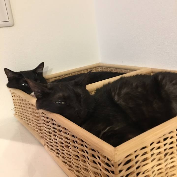 0b289c56 6e52 445a 969c 3215baae8ed3 1528476571184