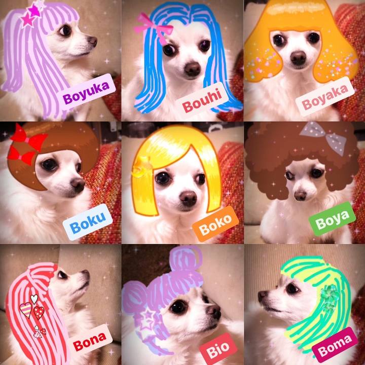 0b28aba3 df5f 4349 ad57 bcacc29119de 1608981410120