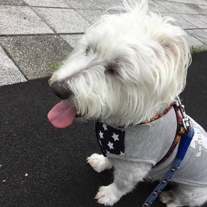 0b28f1c0 f368 4db9 a713 886de0938521 1573838298832