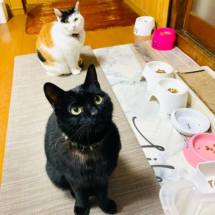 0b2920a4 5b8e 46fe 9bfe 7b5c568874a9 1736590426623