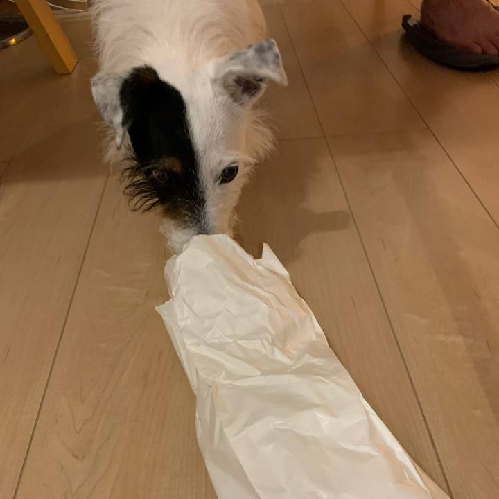 0b292a82 8104 4f63 a8b4 76e84a09e38d 1621251579169