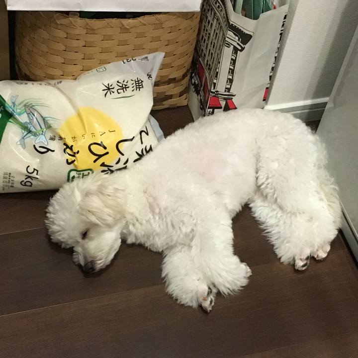 0b292c07 0f4c 46b5 a958 16b2911dc01d 1535464994227