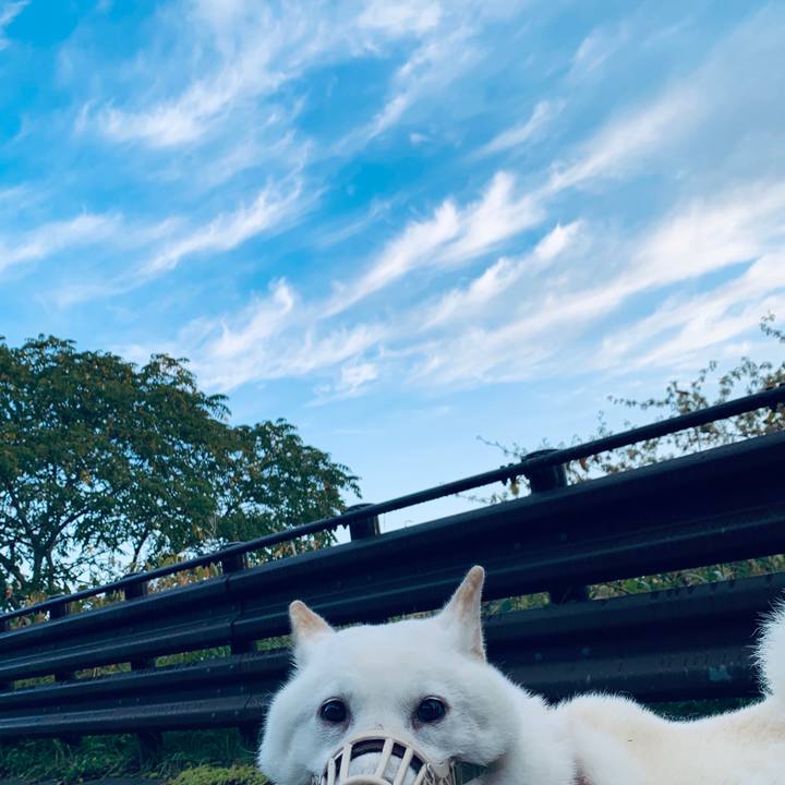 0b294ea9 b7fb 4ca3 a6d3 42a386becc49 1601763151257