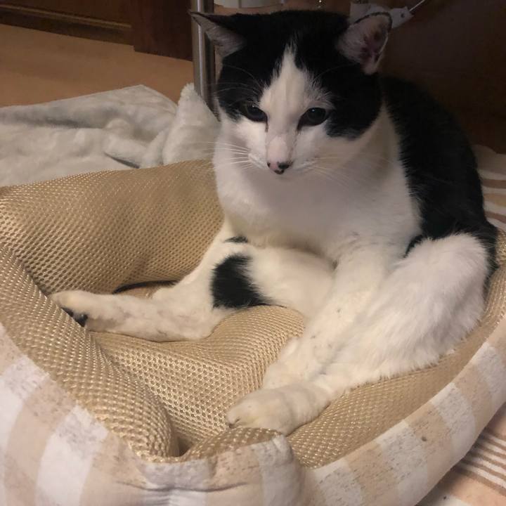 0b297f6e 590e 4eb2 b90c 937d931dffbf 1578577147268