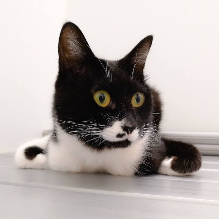 0b298c8a 4743 494d 9fe2 ebf7f3c632f1 1549067091741