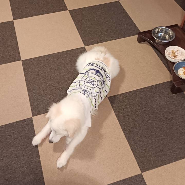 0b29b289 9bef 4b0f bc13 729238b53094 1756326363188