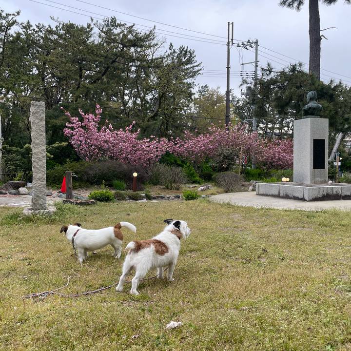 0b29fe6e df71 4127 ab0a f622f98f09a1 1713916028971