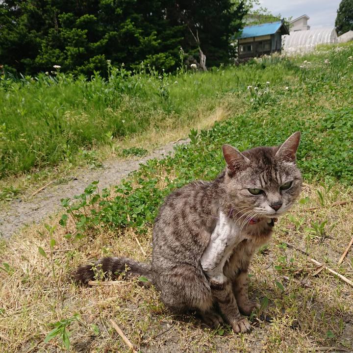 0b29ffcc 70fa 475f ab6e 3d6e3ad4348c 1589596648716