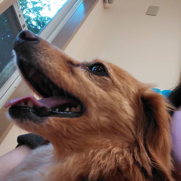 0b2a22ff 5ca3 40d8 814b bc0c6a441854 1594376272414