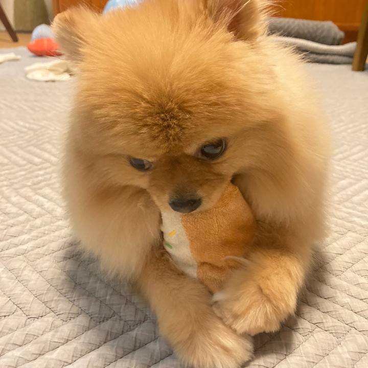 0b2a6121 c438 4ac0 ab2f 00b4a4a1b437 1771759696441