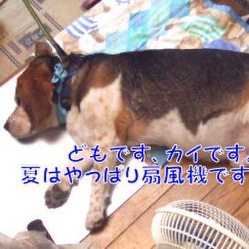 0b2a9a22 dccc 40c1 bfdd e9726cb51337 1720820245619