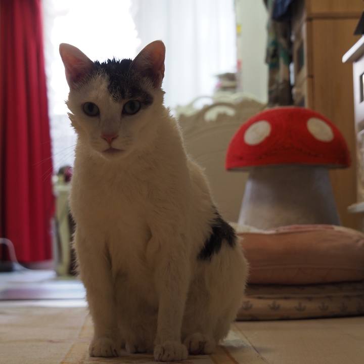 0b2b01c5 9f67 4302 93c4 9c8b591b4f26 1597065411389