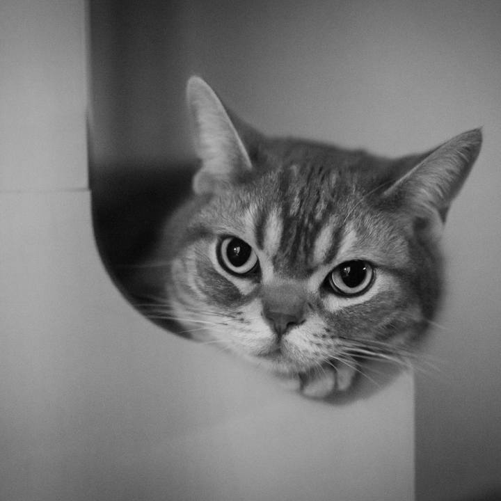 0b2b2f8c 85f8 4aff a67f 5b888e492610 1529489004918