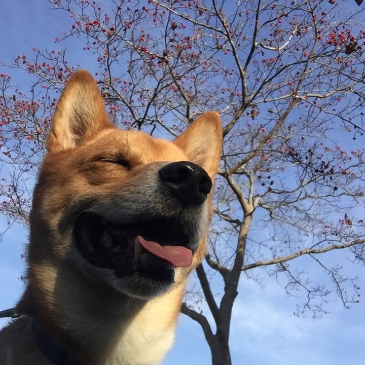 0b2b57c7 e17a 4728 92bc 7bd3c7003694 1542473160034