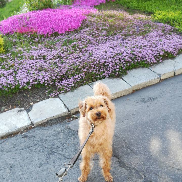 0b2b98fd 51f3 4484 af5d 9b4acf8ead0c 1527291377672