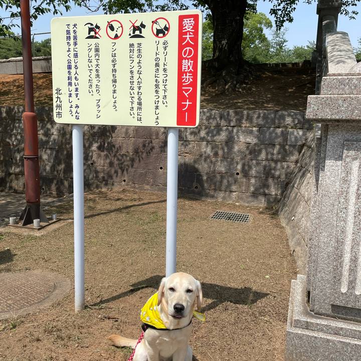 0b2bdcdb 81ab 4075 b440 4f5477d29b4a 1621920197862