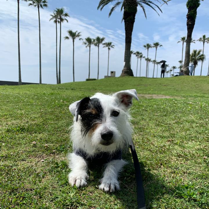 0b2c30e6 1774 4e05 9e1f 4cc43ea902d6 1650676895816