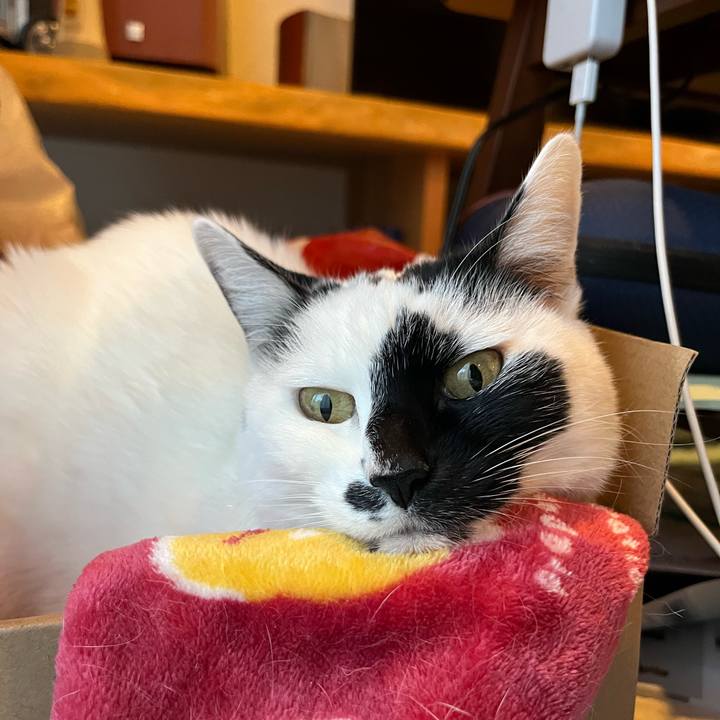 0b2c5d44 fc82 4ebc 8163 004478ceba6b 1771512532532