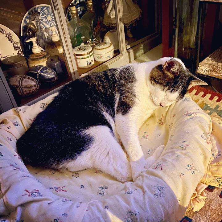 0b2c6cb2 e1e3 45f9 a588 663ac0b0118c 1602342475954