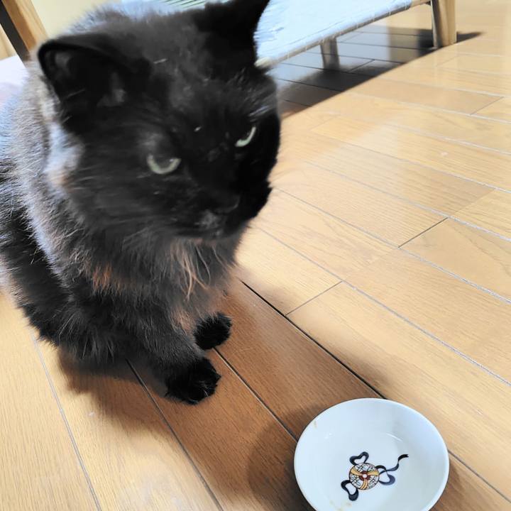 0b2c99cf 46a1 4b81 97f4 40d1f9a0129f 1743507731888