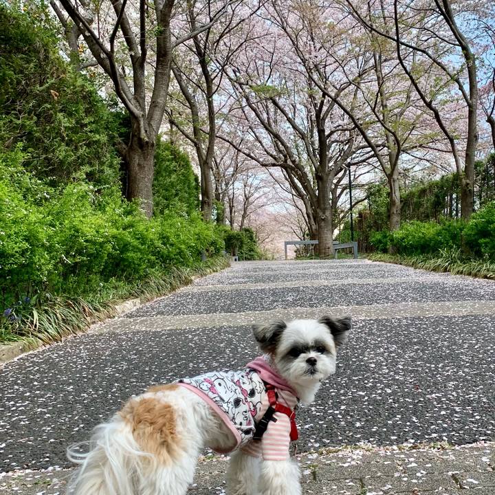 0b2cd0cf 8236 477e a99d 8bfe68261f00 1617341585390