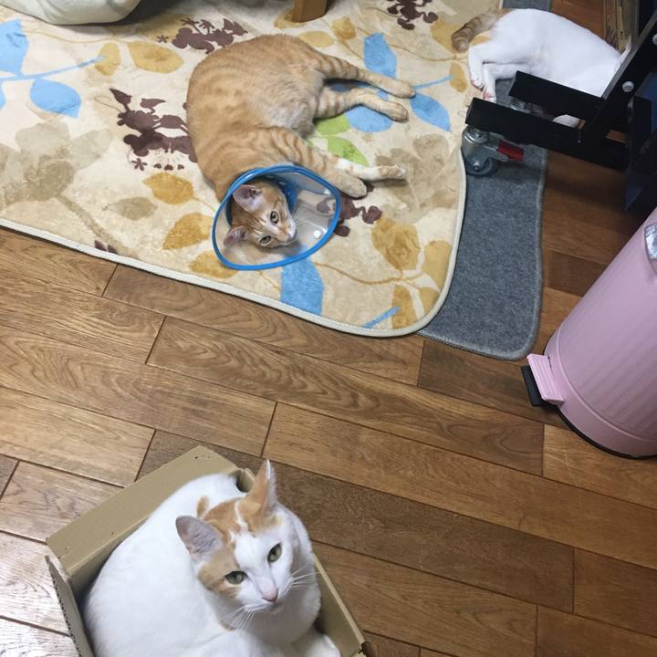 0b2d131c 6ae9 427e 8fd3 03b98ef085ba 1510574386729