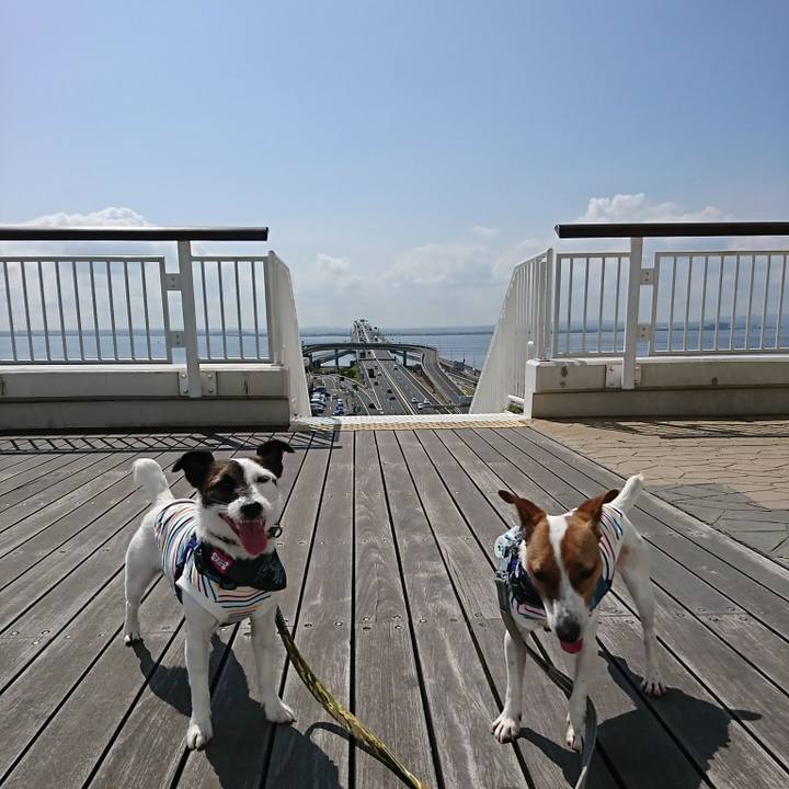 0b2d317c c996 41ec be79 baf7968a0da7 1527898635208