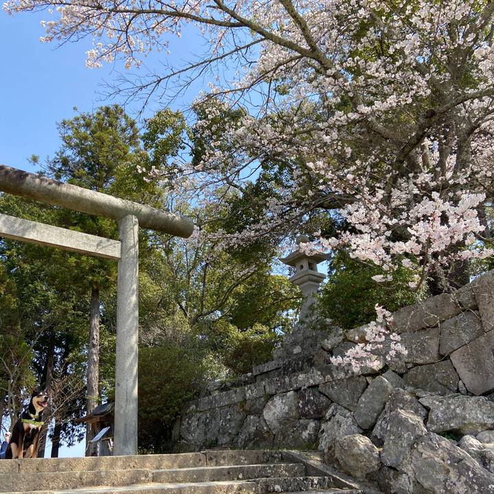 0b2d4ae7 0f2c 41b7 9bf3 d1e1039375aa 1649235912179